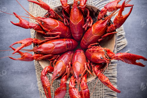 Preview: Cooked River Crayfish On The Grey Background.