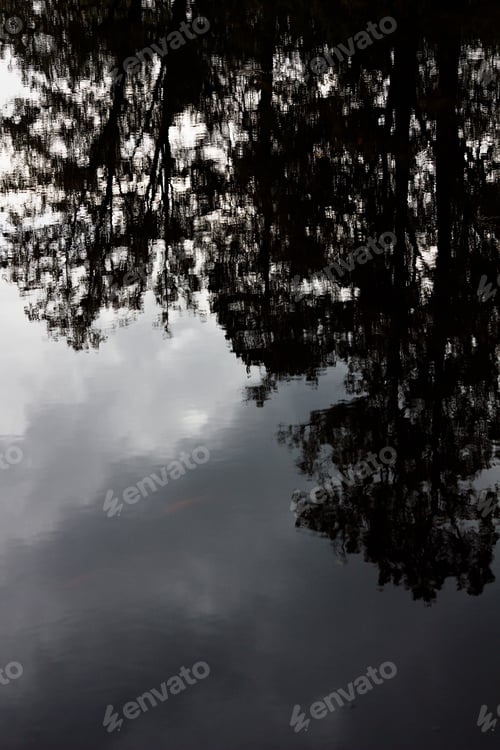 Preview: Autumn Weather, Rain On The Dark Background.