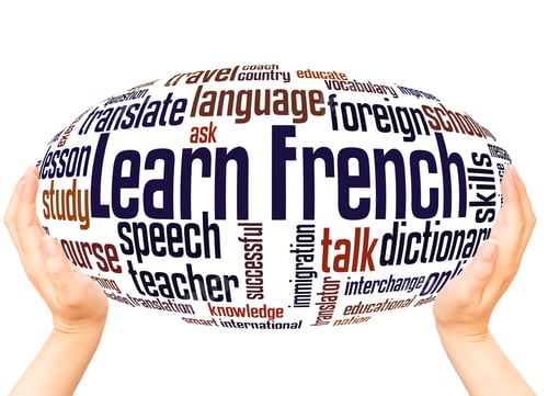 Preview: Learn French Word Cloud Hand Sphere Concept On White Background.