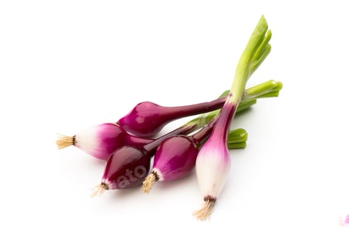 Preview: Fresh Red Onions with Green Stems on White