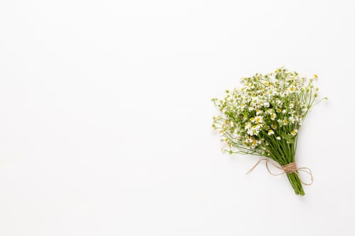 Preview: Bouquet of Small White Flowers on White Surface
