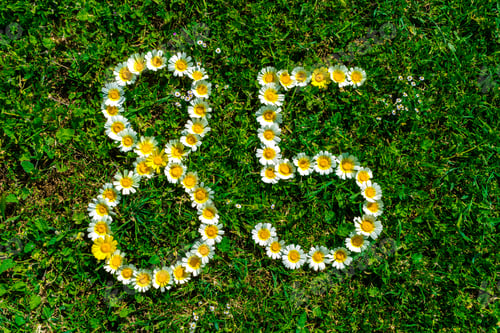 Preview: Happy Anniversary Number Eighty-Five.