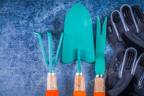 Preview: Metal Rake Trowel Weeding Scoop Safety Gardening Gloves Agriculture Concept.
