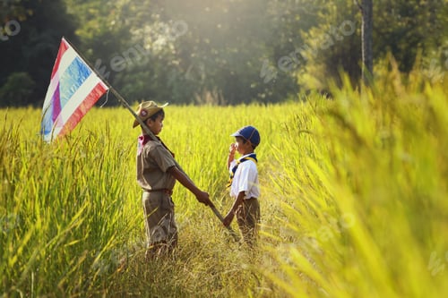 Preview: Boy Scouts And Thailand Flag,Scouts Parade In The Rice Field On During Sunset,Thailand