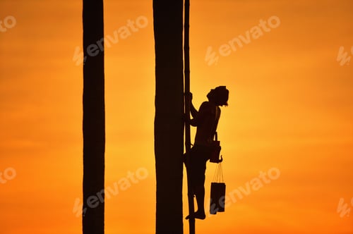Preview: Farmer On Sugar Plam In The Middle At During Sunset,Silhouette Farmer On Sugar Plam During
