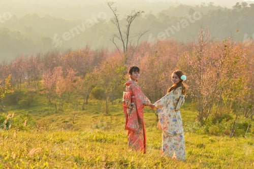 Preview: Asian Woman Wearing Traditional Japanese Kimono,Japan Sakura ,Japan Kimono