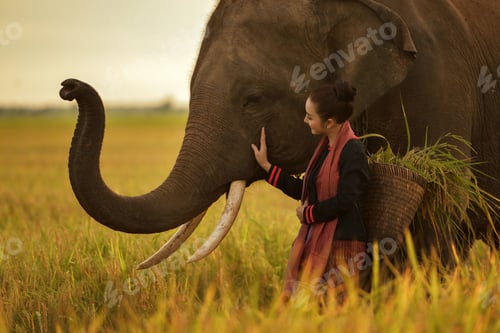 Preview: Beautiful Woman And Elephant With Thai Culture Traditional ,Vintage Style