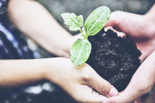 Preview: Young Boy And Preeteen Holding Young Plant In Hands Together Against Green Spring Background.In