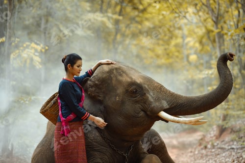 Preview: Beautiful Woman And Elephant With Thai Culture Traditional ,Vintage Style