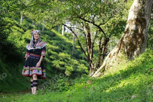 Preview: Miao Woman In Traditional Dress