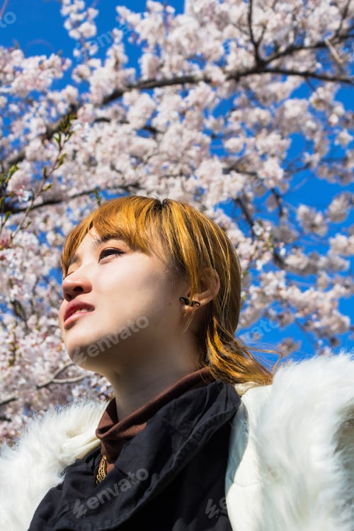 Preview: Holiday In Korea - White Cherry Blossom, Sakura