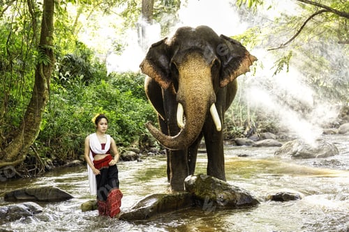 Preview: Beautiful Asian Woman Wears Thai Dress With Her Elephant