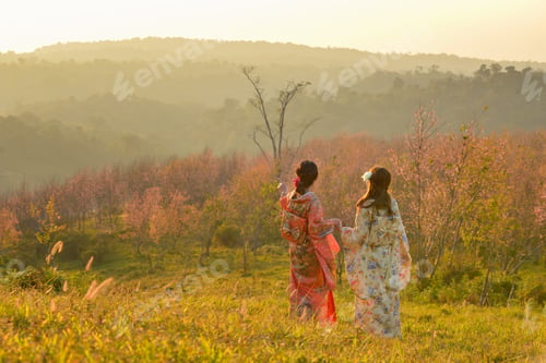Preview: Beautiful Woman Wareing Japan Treaditional ,Spring Sakura Cherry Blossom, Pink Blossom Sukura