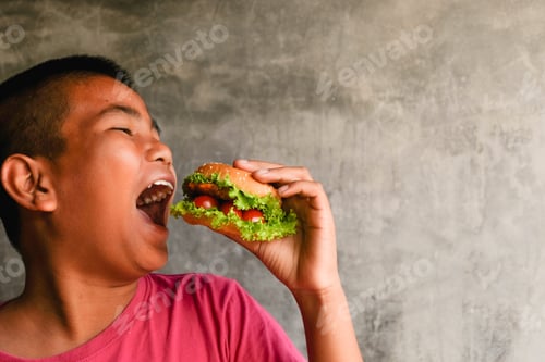 Preview: Portrait Asian Fat Boy Enjoy Eating With Hamburger, Healthy And Lose Weight Concept, A Glutton Boy