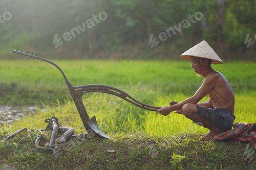 Preview: Asian Farmer Bearing Rice Seedlings On The Back Before The Grown In Paddy Field,