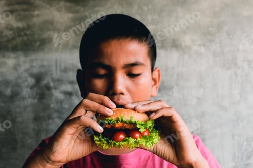 Preview: Portrait Asian Fat Boy Enjoy Eating With Hamburger, Healthy And Lose Weight Concept, A Glutton Boy
