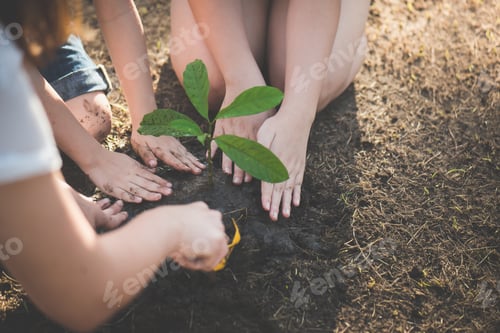 Preview: Cute Asian Children And Mother Planting Young Tree On The Black Soil