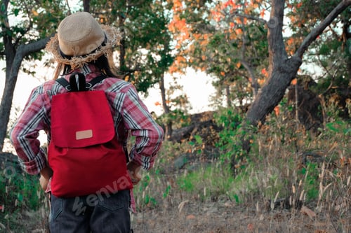 Preview: Traveler Young Girl With Backpack Walking On Path In The Tropical Forest, Relax Time On Holiday