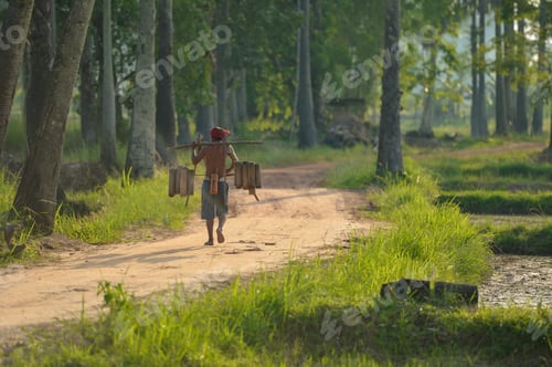 Preview: Farmer On Sugar Plam In The Middle At During Sunset,Sugar Palm Trees At Sunset