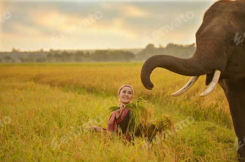 Preview: Beautiful Woman And Elephant With Thai Culture Traditional ,Vintage Style