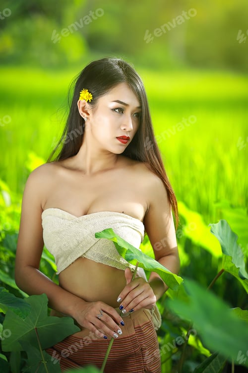 Preview: A Young Woman Dressed In Traditional Lanna Northern Thailand With Rice Fields.
