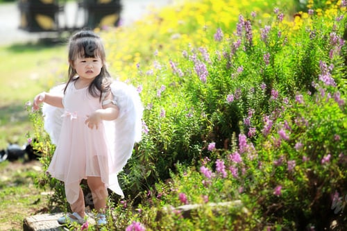 Preview: Little Fairy In Flower Field
