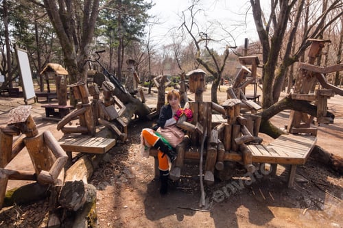 Preview: Holiday In Korea - Nami Island, Namisum In Chuncheon