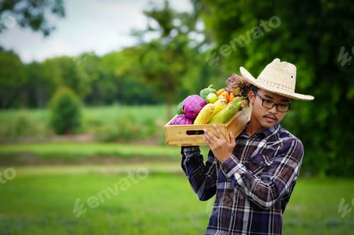 Preview: Young Asian Man Farmer With Freshly Picked Vegetables In Basket. Hand Holding Wooden Box With