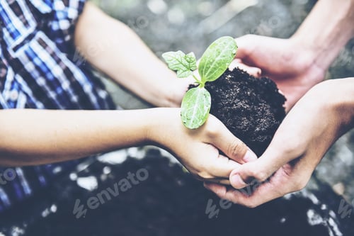 Preview: Young Boy And Preeteen Holding Young Plant In Hands Together Against Green Spring Background.In