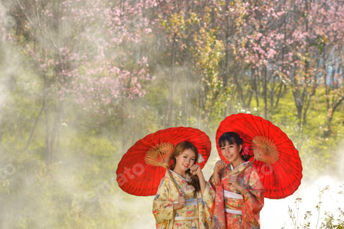 Preview: Beautiful Woman Wareing Japan Treaditional ,Spring Sakura Cherry Blossom, Pink Blossom Sukura
