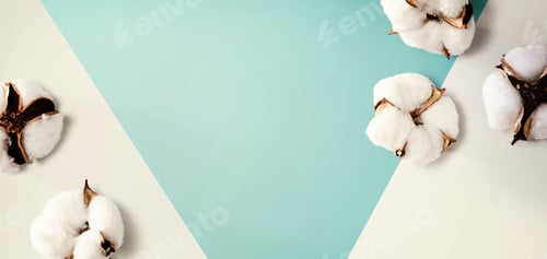 Preview: White Cotton Flowers - Overhead View Flat Lay