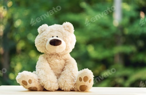 Preview: A Teddy Bear On A Shiny Green Forest Background