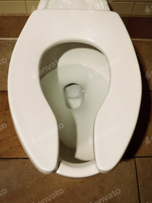Preview: Porcelain Toilet Bowl