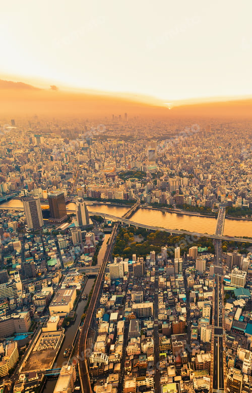 Preview: Tokyo, Japan Cityscape View From High Above