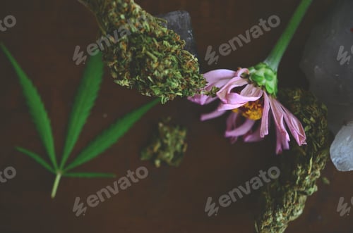 Preview: Lovely Cannabis Crystals And Flowers Aesthetic, Wood Tabletop Macro Photography. Healing Medical