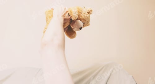 Preview: Holding Up A Teddy Bear In The Air