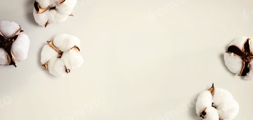 Preview: White Cotton Flowers - Overhead View Flat Lay
