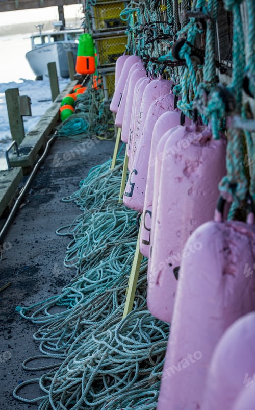 Preview: Purple Lobster Buoys