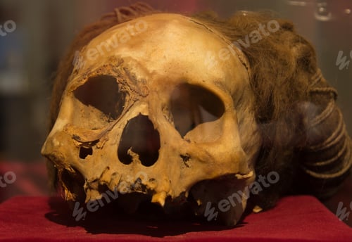 Preview: Skull With Long Hair