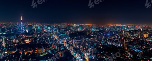 Preview: Tokyo, Japan Cityscape View From High Above