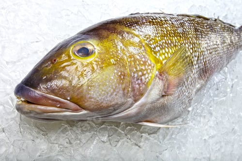 Preview: Fishmonger