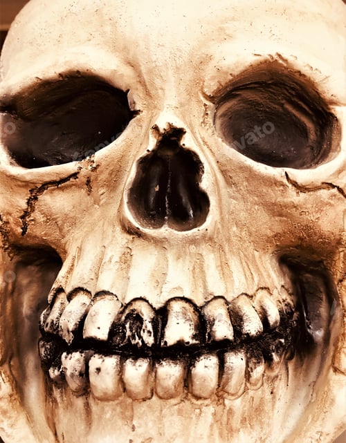 Preview: Halloween Skulls In Various Poses.