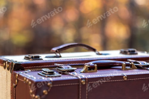 Preview: Suitcases On A Fall Forest Background Autumn Travel Theme
