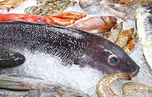 Preview: Fishmonger