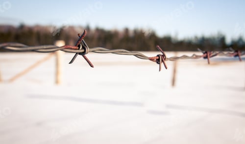 Preview: Barb Wire In A Pasture