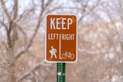 Preview: Keep Left Keep Right Sign Against Trees And Snow