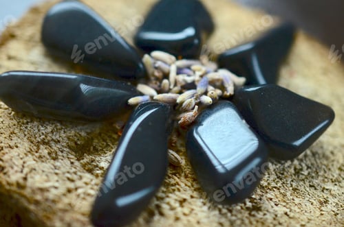 Preview: Tumbled Apache Tears, Obsidian Apache Tears Crystal. Volcanic Black Obsidian. Grounding