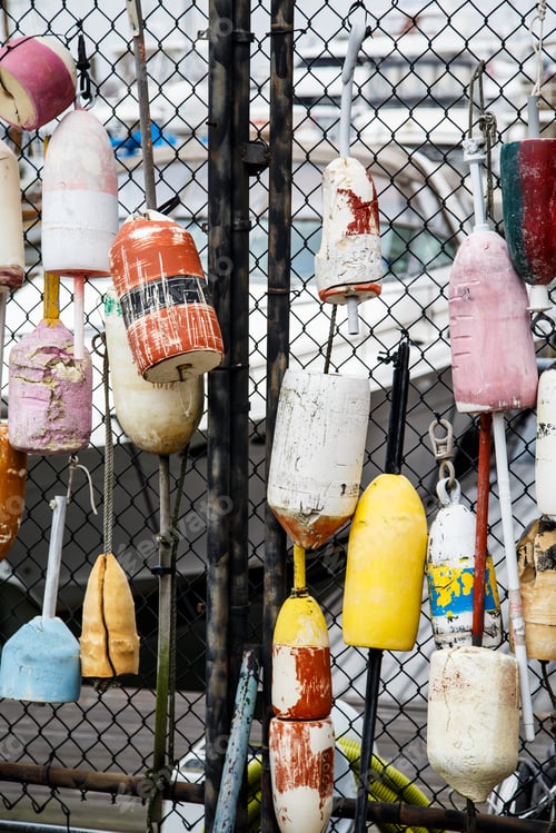Preview: Old Lobster Buoys Hanging On A Chain Link Fence At A Harbor