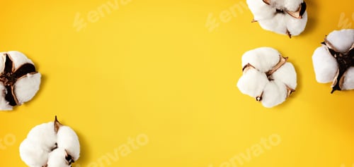 Preview: White Cotton Flowers - Overhead View Flat Lay