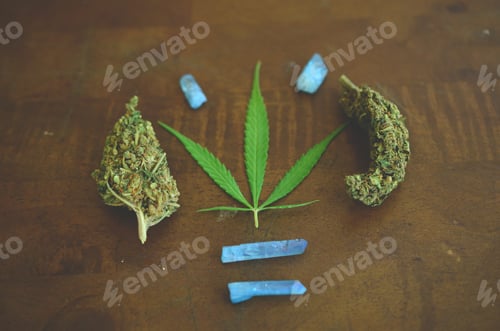 Preview: Bright, Alternative Medical Marijuana. Cbd Healing, Pro Legalization And Pro Marijuana. Macro